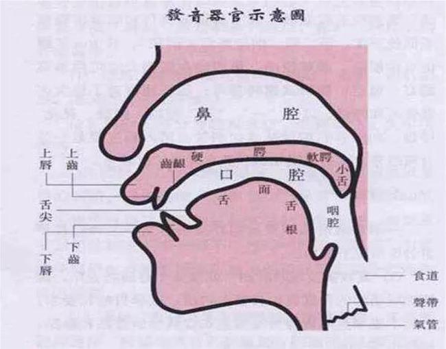 小孩發(fā)音不清楚的原因是什么？